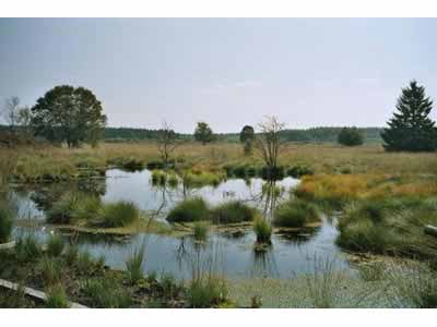 vakantiehuisjes België Vakantiewoning vakantiehuizen vakantiehuisjes België