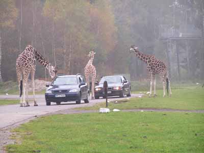 Serengeti Park Hodenhagen